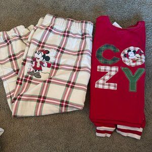 Disney Parks Xmas cozy's